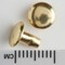 Tandy Leather Double Cap Rivets Small Solid Brass 100/pk 1379-11